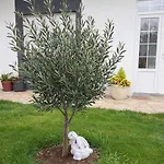 Novak Apartment Mostar