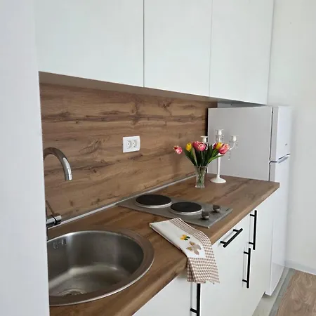 Apartament Novak