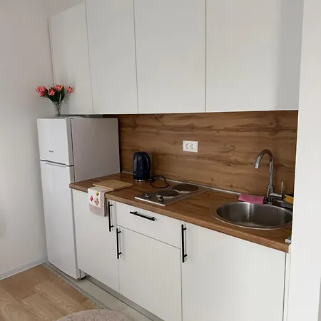 Apartament Novak