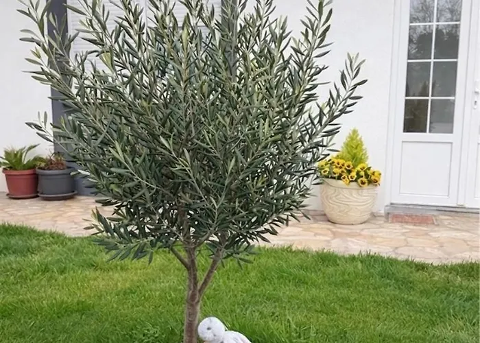 Novak Apartamento Mostar